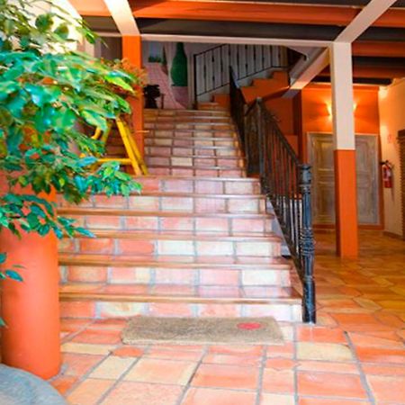 Apartamentos Senorio De Haro 3000 Esterno foto